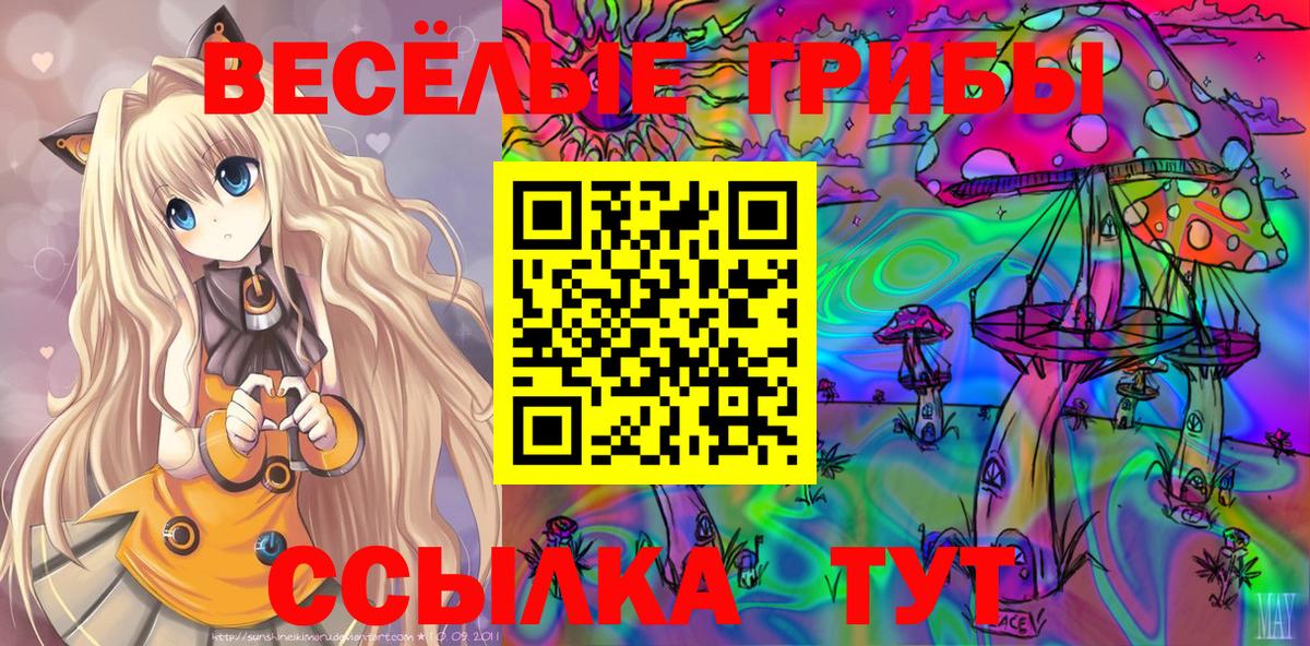 Псилоцибиновые грибы Psilocybe  Вход с VPN  Галлюциногенные грибы Cubensis  Узловая 